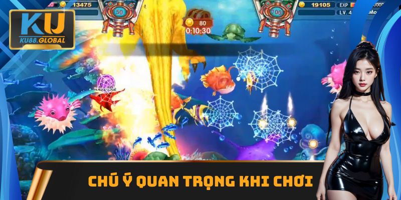Lưu ý cần thiết khi săn Cá Rồng